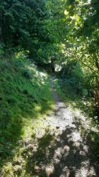 WhatsApp Image 2025 09 26 At 10.14.12 2